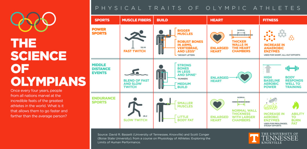Graphic about Olympic athletes